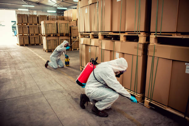 Best Local Pest Control Services  in Glendora, NJ