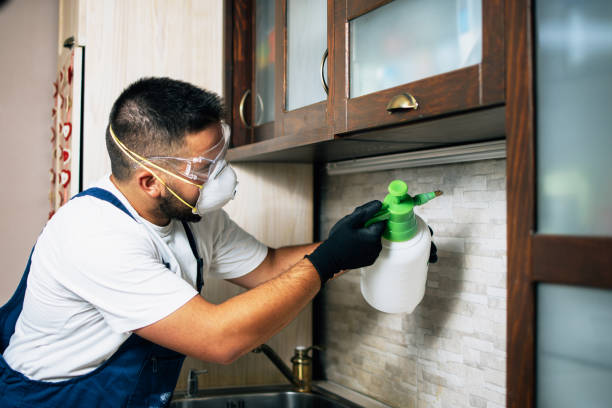 Pest Control Cost in Glendora, NJ