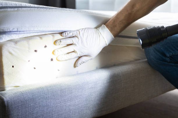 Best Pest Prevention Services  in Glendora, NJ