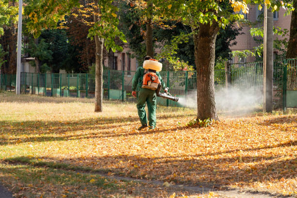 Best Wasp Removal Services  in Glendora, NJ