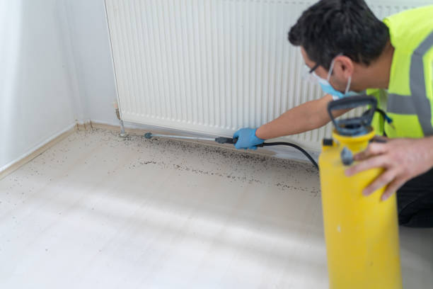 Best Best Pest Control Companies  in Glendora, NJ
