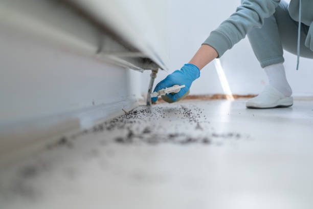 Trusted Glendora, NJ Pest Control Experts
